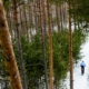 Winter cycling