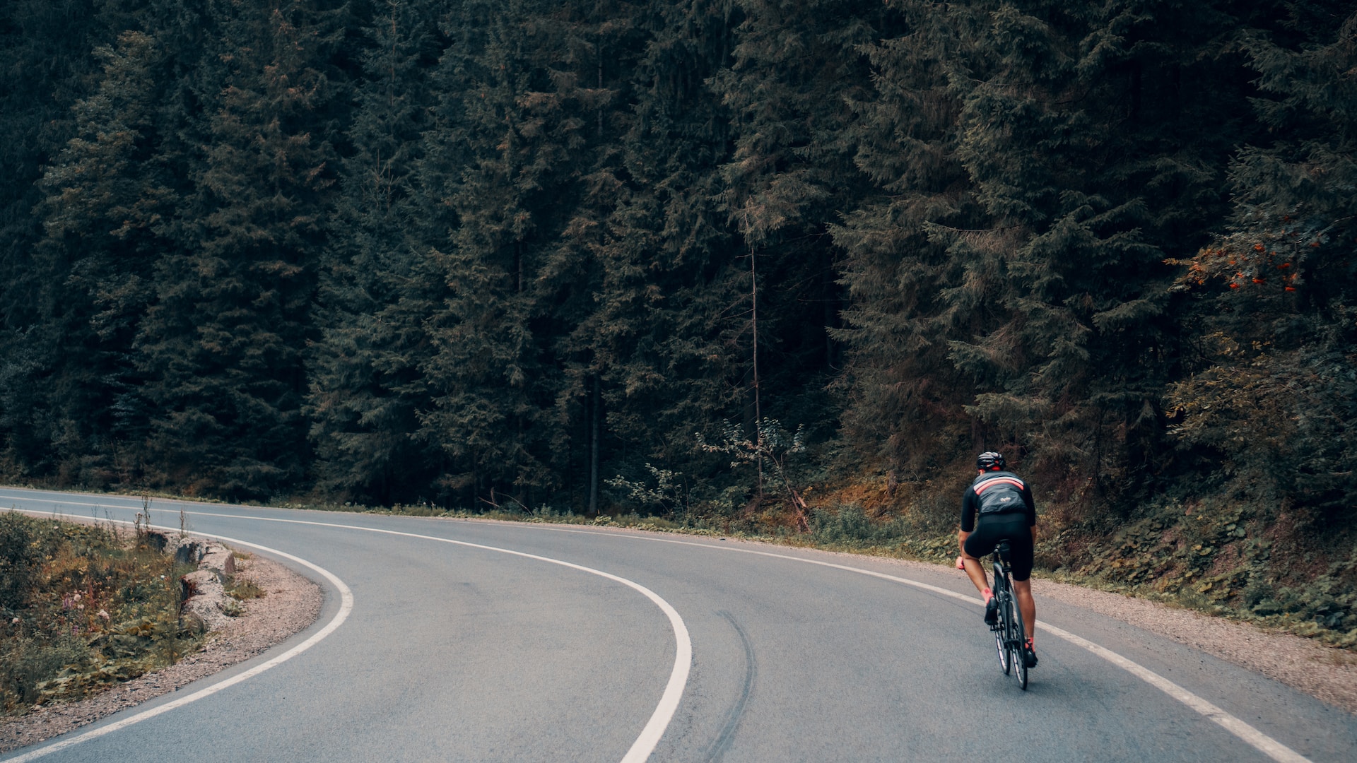 Periodisation training, cycling coaching
