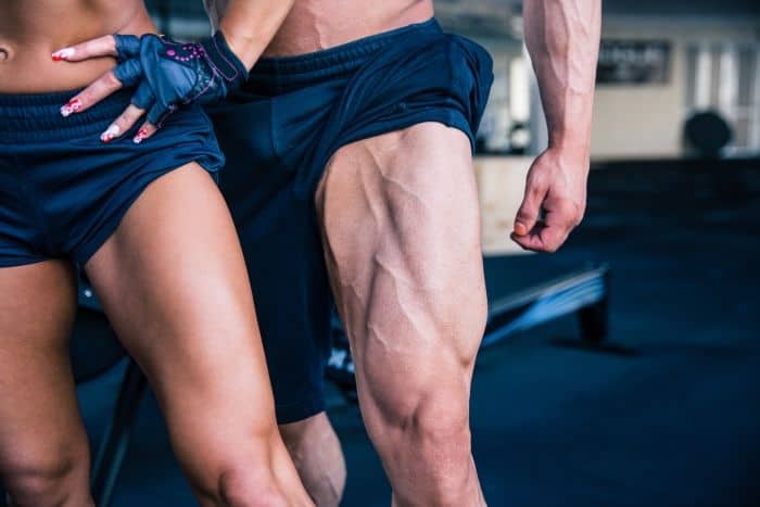 Leg muscles